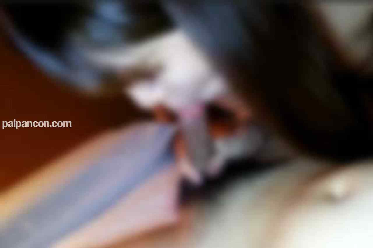 FC2-PPV-4747886 - ※5日間限定ワンコイン※SSS級ヌケるシロウト/匂い立つ大人のヒップ！！スレンダーボディーを抱きしめたい！！ thumbnail_2.jpg